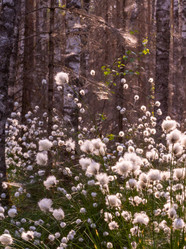 Similar image 21804651