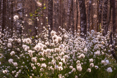 Similar image 21804653