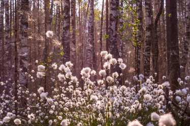 Similar image 21804656