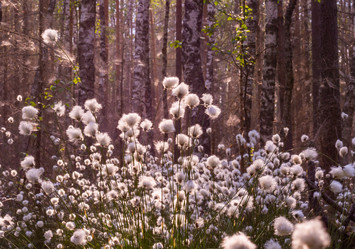 Similar image 21804657