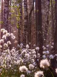 Similar image 21804658