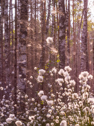 Similar image 21804659