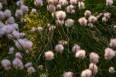 Similar image 21804660