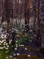 Similar image 21804661