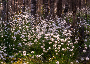 Similar image 21804662