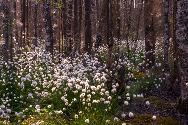 Similar image 21804663