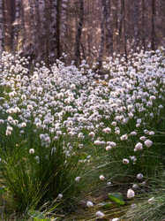 Similar image 21804664