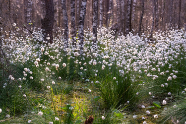 Similar image 21804666