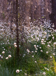 Similar image 21804667