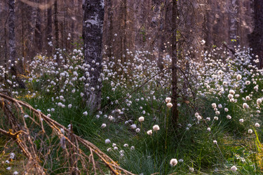 Similar image 21804669