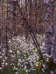 Similar image 21804670