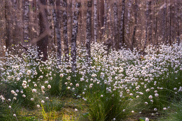 Similar image 21804672