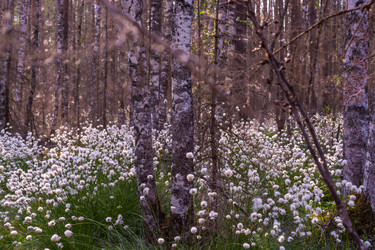 Similar image 21804673