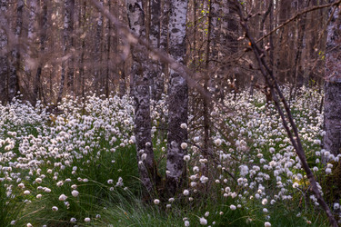 Similar image 21804674