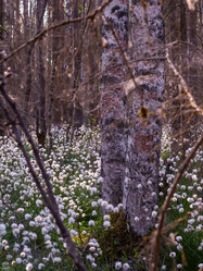 Similar image 21804675