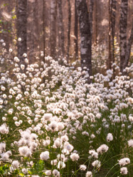 Similar image 21804676