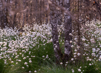 Similar image 21804680