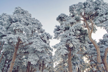 Similar image 21804599