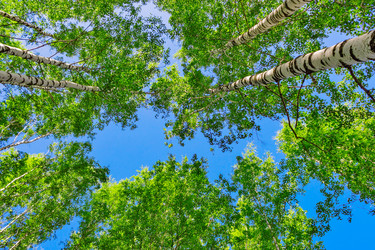 Similar image 21804602