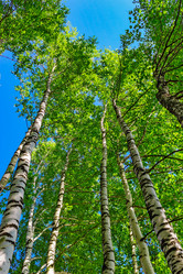 Similar image 21804603