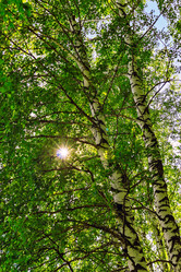 Similar image 21804604