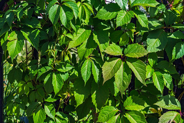 Similar image 21804606