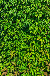 Similar image 21804607