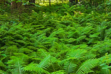 Similar image 21804612