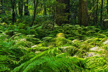 Similar image 21804682