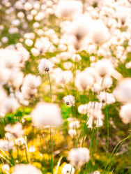 Similar image 21804695