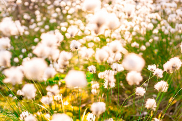 Similar image 21804697