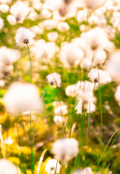 Similar image 21804699