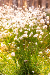 Similar image 21804700