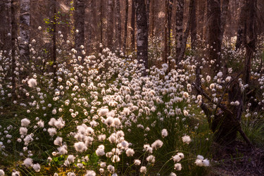 Similar image 21804703