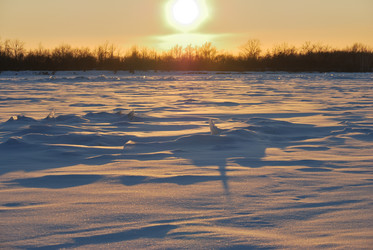 Similar image 21804493