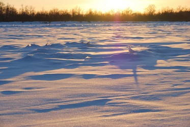 Similar image 21804494