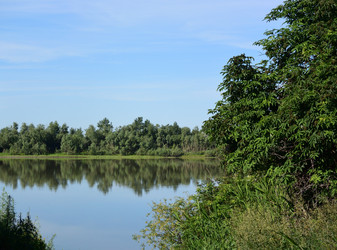 Similar image 21804498