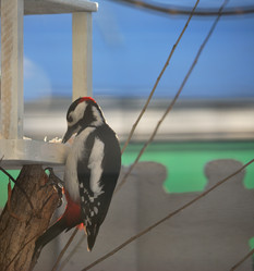 Similar image 21804504