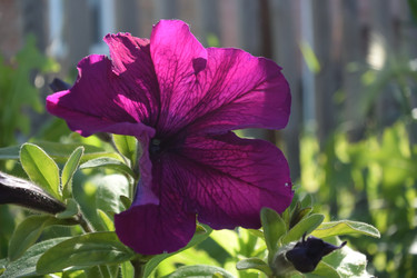 Similar image 21804505