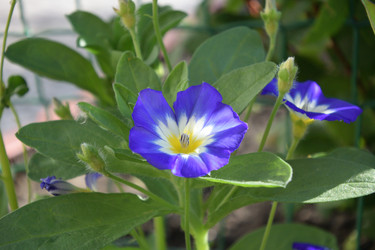 Similar image 21804508