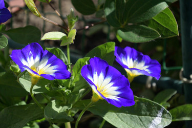 Similar image 21804509