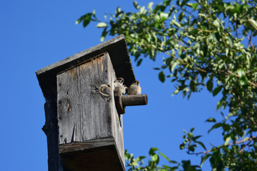 Similar image 21804511