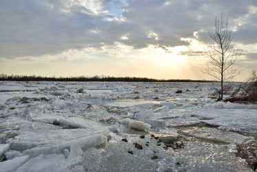 Similar image 21804519