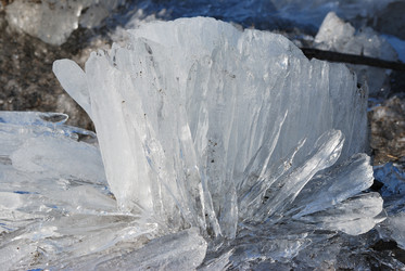 Similar image 21804520