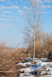 Similar image 21804521