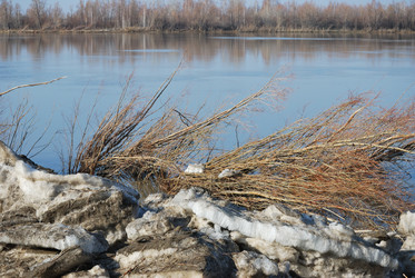 Similar image 21804528