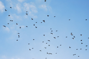 Similar image 21804529