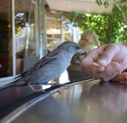 Similar image 21804530