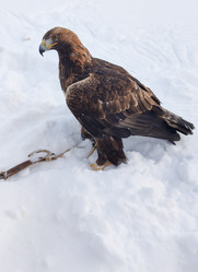 Similar image 21805891