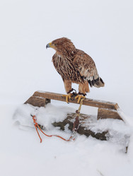 Similar image 21805893